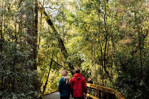 Gordon River Cruise Departing From Strahan - Foster Accommodation 2