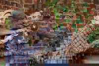 Private Tour Blue Mountains Day Trip from Sydney