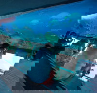 Great Barrier Reef Day Cruise to Reefworld - Foster Accommodation