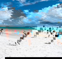 Whitehaven Beach and Hamilton Island Cruise - Foster Accommodation