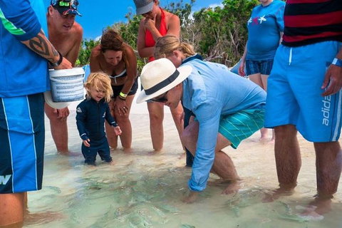 Whitehaven Beach And Hamilton Island Cruise - Foster Accommodation 1