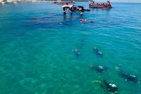 Adventure Moreton Island Scuba Dive Tour - Foster Accommodation 0