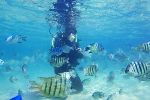 Adventure Moreton Island Scuba Dive Tour - Foster Accommodation 1