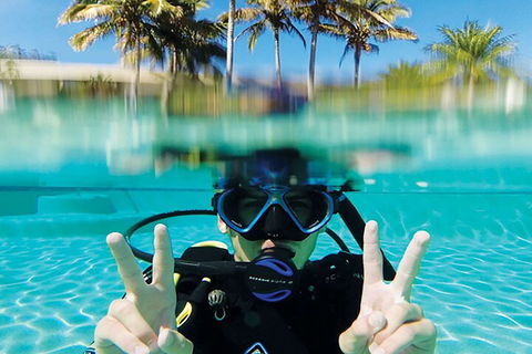 Adventure Moreton Island Scuba Dive Tour - Foster Accommodation 2
