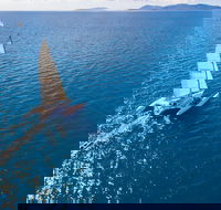 2-Night Whitsunday Islands Sailing Adventure on Trimaran Avatar - Foster Accommodation