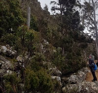 kunanyi / Mt. Wellington Guided Hiking Tour