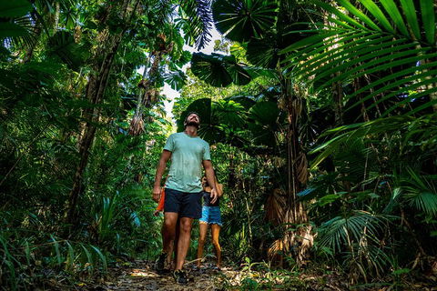 Full Day Daintree Rainforest And Mossman Gorge Tour - Foster Accommodation 0