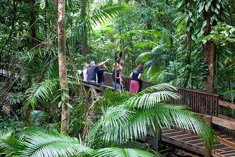 Full Day Daintree Rainforest And Mossman Gorge Tour - Foster Accommodation 1