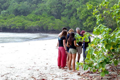 Full Day Daintree Rainforest And Mossman Gorge Tour - Foster Accommodation 2