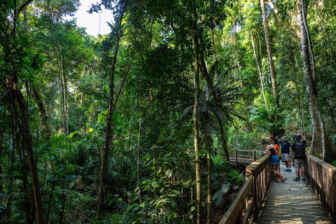 Full Day Daintree Rainforest And Mossman Gorge Tour - Foster Accommodation 5