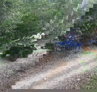 Cairns ATV Adventure Tour and Morning Train - Foster Accommodation