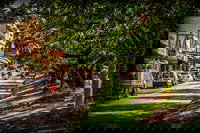 Fully Inclusive Blue Mountains Private Tour inc Scenic World  Featherdale entry, Sydney