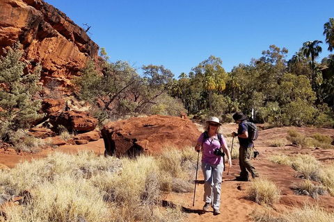 Palm Valley And Hermannsburg 1 Day 4WD Tour - Foster Accommodation 1