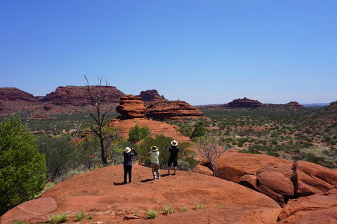Palm Valley And Hermannsburg 1 Day 4WD Tour - Foster Accommodation 2