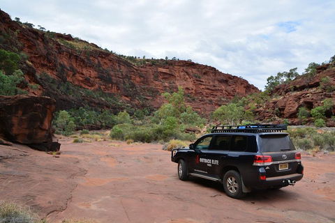 Palm Valley And Hermannsburg 1 Day 4WD Tour - Foster Accommodation 5