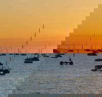 Darwin Shore Excursion Hop-on Hop-off Bus Tour - Foster Accommodation