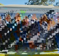 Full Day Mount Tamborine Winery Tour from Gold Coast - Foster Accommodation