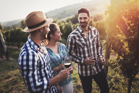 Full Day Mount Tamborine Winery Tour From Gold Coast - Foster Accommodation 5
