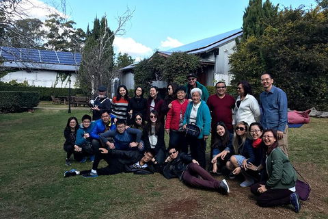 Full Day Mount Tamborine Winery Tour From Brisbane - Foster Accommodation 2