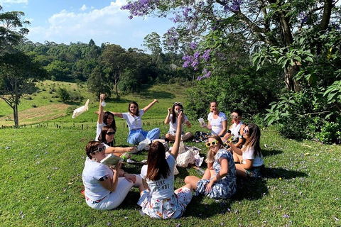 Full Day Mount Tamborine Winery Tour From Brisbane - Foster Accommodation 4