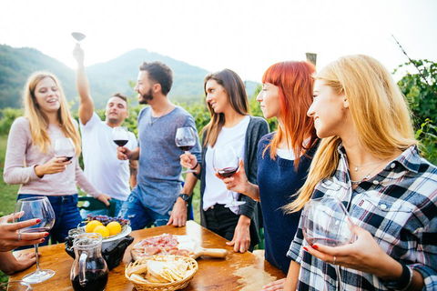 Full Day Mount Tamborine Winery Tour From Brisbane - Foster Accommodation 5