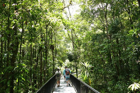 Daintree Dreaming Traditional Aboriginal Fishing From Cairns Or Port Douglas - Foster Accommodation 3