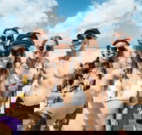 Whitsunday Islands Sailing Adventure - Foster Accommodation