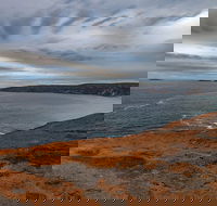 Kangaroo Island Luxury Small Group 'Flinders Chase Focus' Full Day Tour - Foster Accommodation