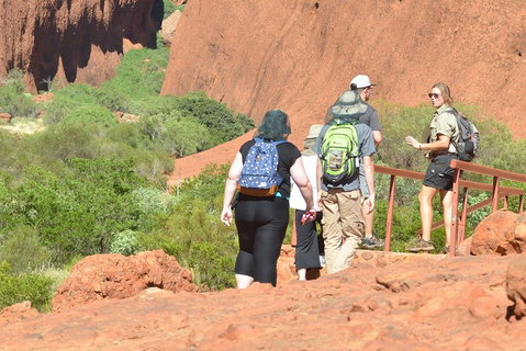 Afternoon Kata Tjuta Small Group Tour - Foster Accommodation 0