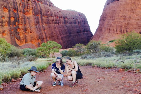 Afternoon Kata Tjuta Small Group Tour - Foster Accommodation 2