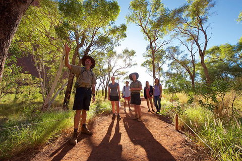 Uluru Small Group Tour Including Sunset - Foster Accommodation 0