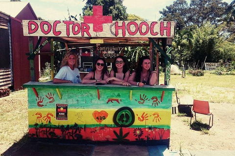 Byron Surrounds: Nimbin Waterfall Adventure - Swimming Tour - Foster Accommodation 5