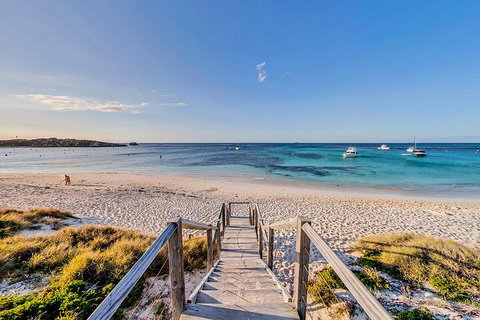 Discover Rottnest With Ferry & Bus Tour From Perth Or Fremantle - Foster Accommodation 4