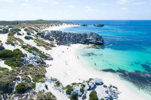 Discover Rottnest With Ferry & Bus Tour From Perth Or Fremantle - Foster Accommodation 5