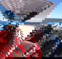 Adventure Rottnest Tour with Ferry  Adventure Cruise from Perth or Fremantle - Foster Accommodation