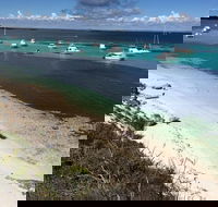 Experience Rottnest with Ferry  Bike Hire from Perth or Fremantle - Foster Accommodation