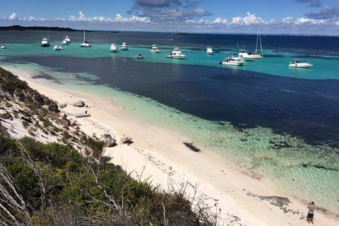 Experience Rottnest With Ferry & Bike Hire From Perth Or Fremantle - Foster Accommodation 0