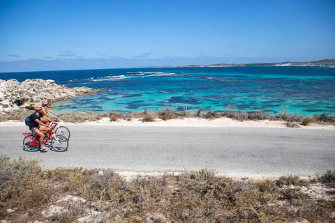 Experience Rottnest With Ferry & Bike Hire From Perth Or Fremantle - Foster Accommodation 2
