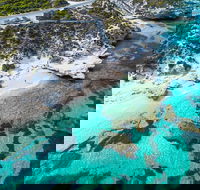 Rottnest Island Round-Trip Ferry from Perth or Fremantle - Foster Accommodation