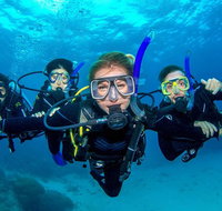 Great Barrier Reef Diving and Snorkeling Cruise from Cairns - Foster Accommodation