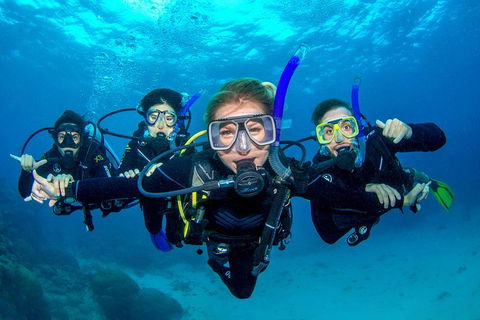 Great Barrier Reef Diving And Snorkeling Cruise From Cairns - Foster Accommodation 0