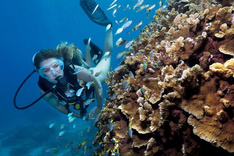 Great Barrier Reef Diving And Snorkeling Cruise From Cairns - Foster Accommodation 1