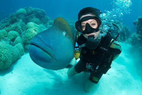 Great Barrier Reef Diving And Snorkeling Cruise From Cairns - Foster Accommodation 2