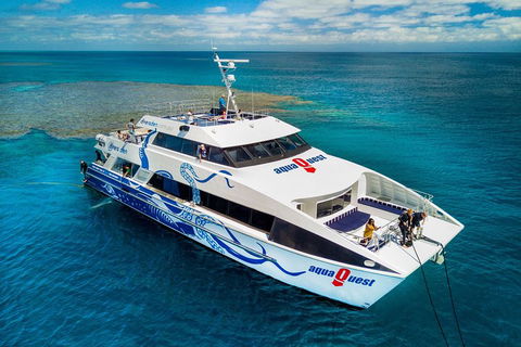 Great Barrier Reef Diving And Snorkeling Cruise From Cairns - Foster Accommodation 5