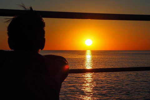 Roebuck Bay Snubfin Dolphin Cruise - Foster Accommodation 4