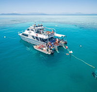 Ocean Freedom Great Barrier Reef Personal Luxury Snorkel  Dive Cruise Cairns - Foster Accommodation
