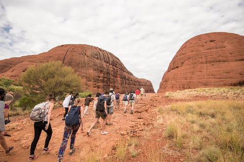 6 Day Red Centre Explorer With Accommodation - Foster Accommodation 3