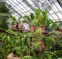 Australian Butterfly Sanctuary - Foster Accommodation