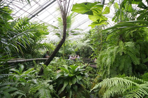 Australian Butterfly Sanctuary - Foster Accommodation 3
