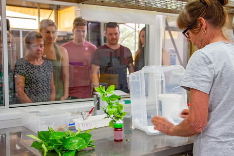 Australian Butterfly Sanctuary - Foster Accommodation 5